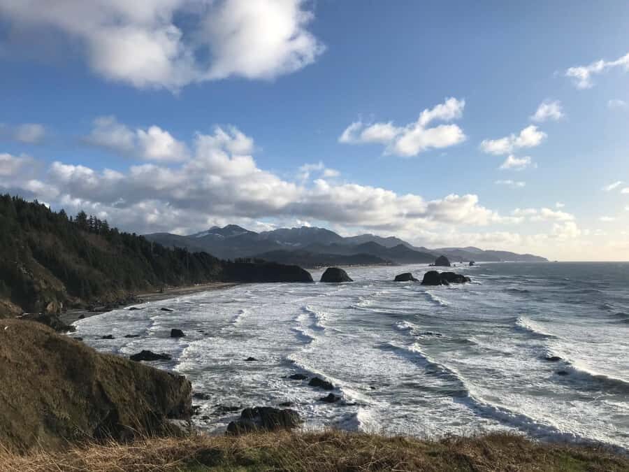 From Portland: Oregon Coast Scenic Day Tour - An In-Depth Look at the Oregon Coast Day Trip
