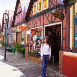 From Querétaro: Tlalpujahua Christmas Shopping Tour - Who Will Love This Tour?