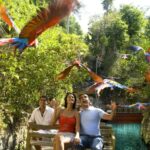 From Riviera Maya: Complete Combo to Xcaret Park! - Final Thoughts: Who Will Love This Tour?