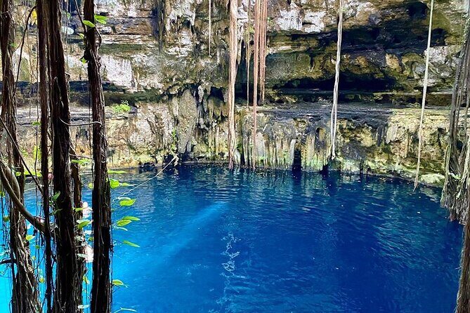 From Ruins to Hidden Cenotes Private Chichen Itza Tour - Who Is This Tour Best Suited For?