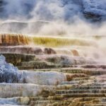 From Salt Lake City: Yellowstone & Grand Teton 5-Day Tour - What You Can Expect