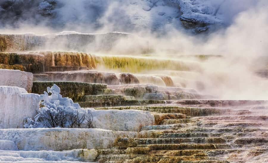 From Salt Lake City: Yellowstone & Grand Teton 5-Day Tour - What You Can Expect