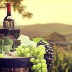 From San Diego Temecula Wine Country Tour - What Travelers Say and Expect