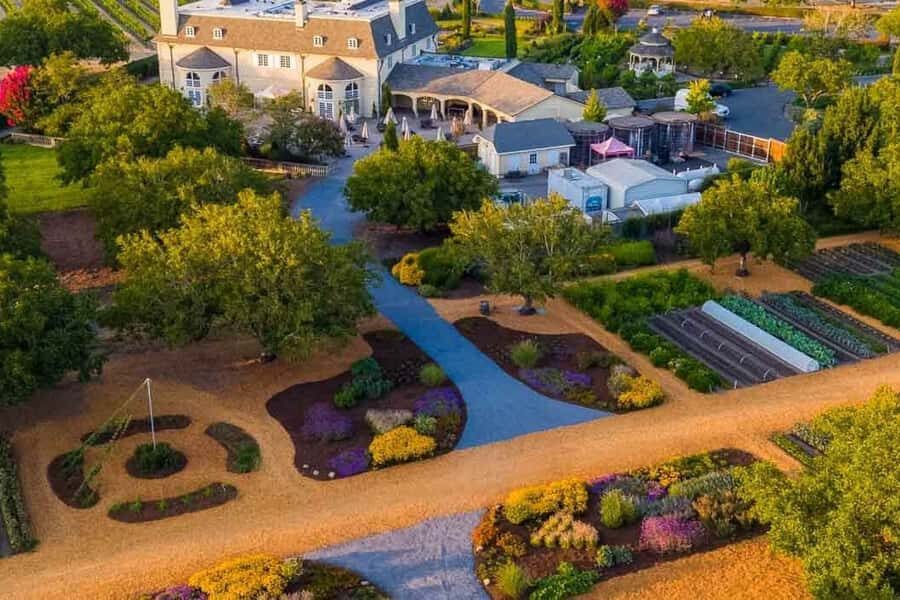 From San Francisco: Redwoods Tour and Gourmet Lunch and Wine - The Value in the Details