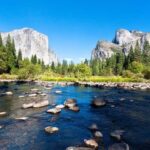 From San Francisco: Yosemite National Park Guided Day Trip - What Makes This Tour Stand Out?