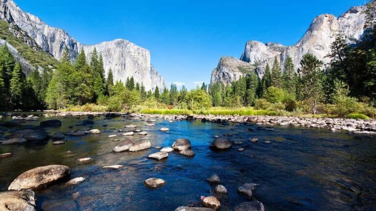From San Francisco: Yosemite National Park Guided Day Trip - What Makes This Tour Stand Out?