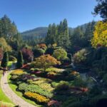 From Seattle: Day Trip by High Speed Ferry to Victoria, BC - Who Should Consider This Tour?