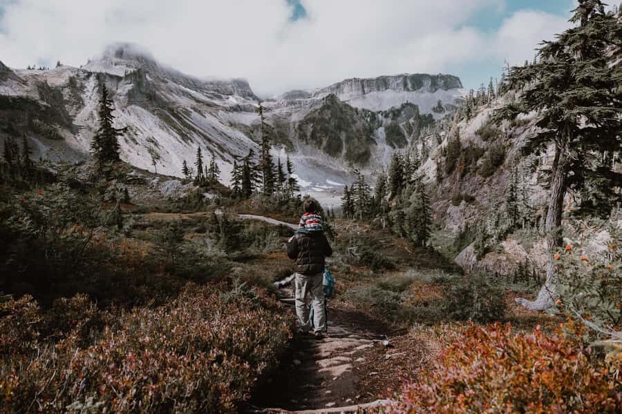 From Seattle - Enchanting Mt Baker & Cascade mountains tours - A Detailed Look at the Mt. Baker & Cascade Mountains Tour