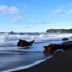 From Seattle Private Hoh Rain Forest and Rialto Beach Tour - Practical Details & Considerations