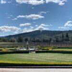 From SF : - 8hr -Napa & Sonoma Private Wine Tour -XL SUV-. - Detailed Breakdown of the Day