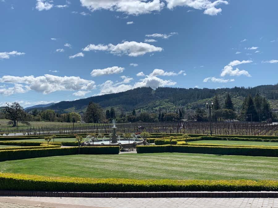 From SF : - 8hr -Napa & Sonoma Private Wine Tour -XL SUV-. - Detailed Breakdown of the Day