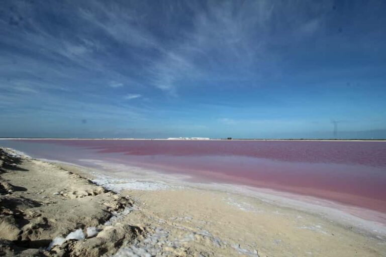 From Valladolid: Flamingo Tour, Rio Lagartos, Las Coloradas, Cenote + Lunch - FAQs