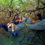 Full-Day Adventure: Tulum Ruins & Xel-Há Natural Park - Xel-Há Natural Park: Fun and Relaxation