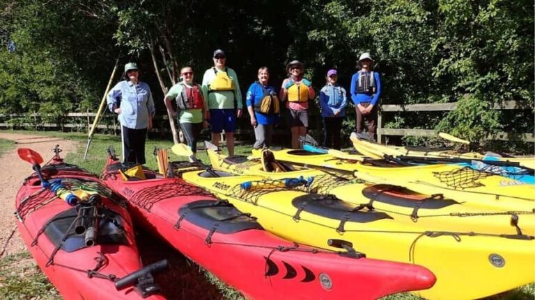 Full-Day Buffalo Bayou Kayaking Tour - An In-Depth Look at the Buffalo Bayou Kayaking Tour
