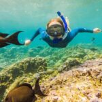 Full Day Cancun ATV Zipline and Cenote Adventure with Snorkeling - A Closer Look at the Itinerary & Experience