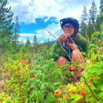 Full Day E-Bike Tour In The Colorado Rockies With Transport - The Sum Up