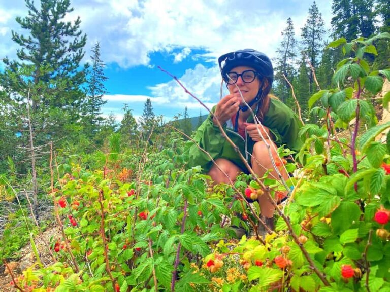 Full Day E-Bike Tour In The Colorado Rockies With Transport - The Sum Up