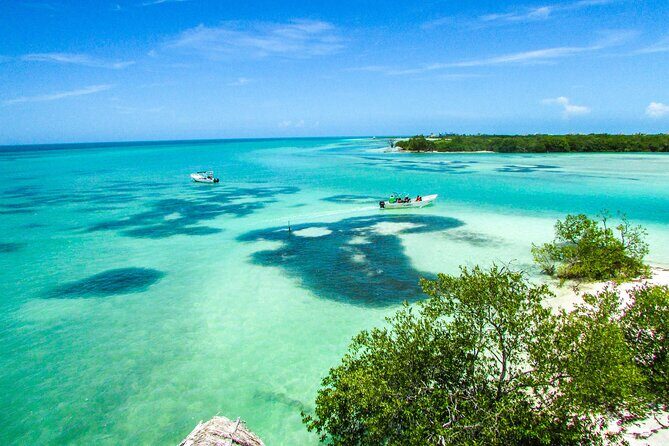 Full Day Holbox Island Tour from Cancun with Lunch - Final Thoughts: Who Is This Tour Best For?