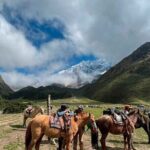 Full Day Humantay Lake - FAQs about the Laguna Humantay Tour