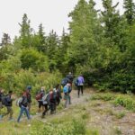 Full-Day Mount Riley Hike from Haines - Detailed Breakdown of the Itinerary