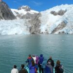 Full day Northwestern Glacier & Wildlife Tour from Seward - What to Expect: Itinerary Breakdown