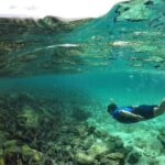 Full Day Pinzon Island, Finishing in la Fe with Snorkeling and Lunch included - How This Tour Compares in Value