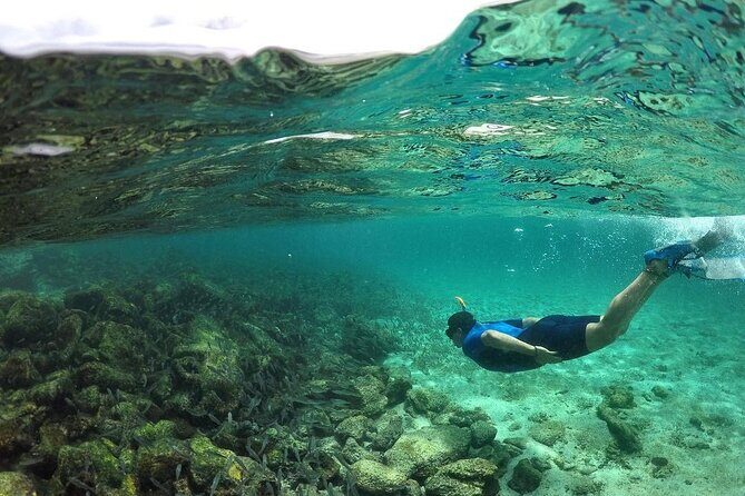 Full Day Pinzon Island, Finishing in la Fe with Snorkeling and Lunch included - How This Tour Compares in Value