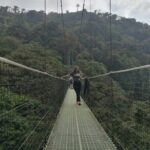 Full day to Monteverde from San Jose with Canopy and Reptil Amphibians watching - Key Points