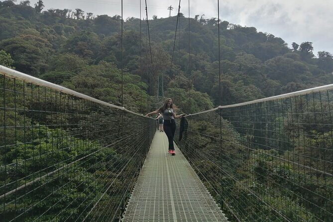 Full day to Monteverde from San Jose with Canopy and Reptil Amphibians watching - Key Points