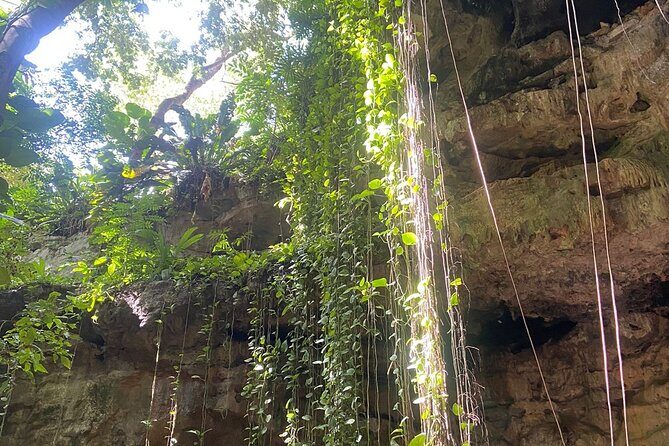 Full Day Tour of 17th Century Hacienda with Cenotes - Why This Tour Offers Good Value