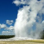 Full Day Yellowstone Lower Loop and Safari from Jackson Hole - Why This Tour Offers Excellent Value
