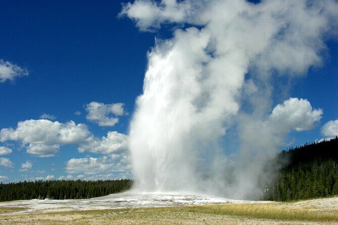 Full Day Yellowstone Lower Loop and Safari from Jackson Hole - Why This Tour Offers Excellent Value