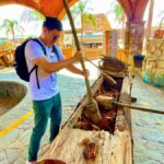 Fully-Private Half-Day Tequila Tour - A Deep Dive into the Authentic Tequila Experience