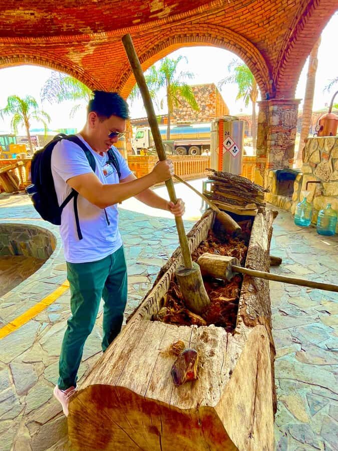 Fully-Private Half-Day Tequila Tour - A Deep Dive into the Authentic Tequila Experience