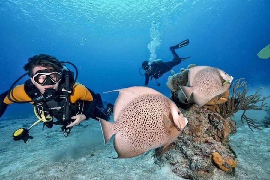 Fun Dive in Playa del Carmen  Dive Machine Experience - Who Is This Tour For?