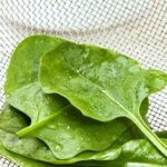 Fun Italian Dumplings Class With Local Chef in Philadelphia - The Sum Up