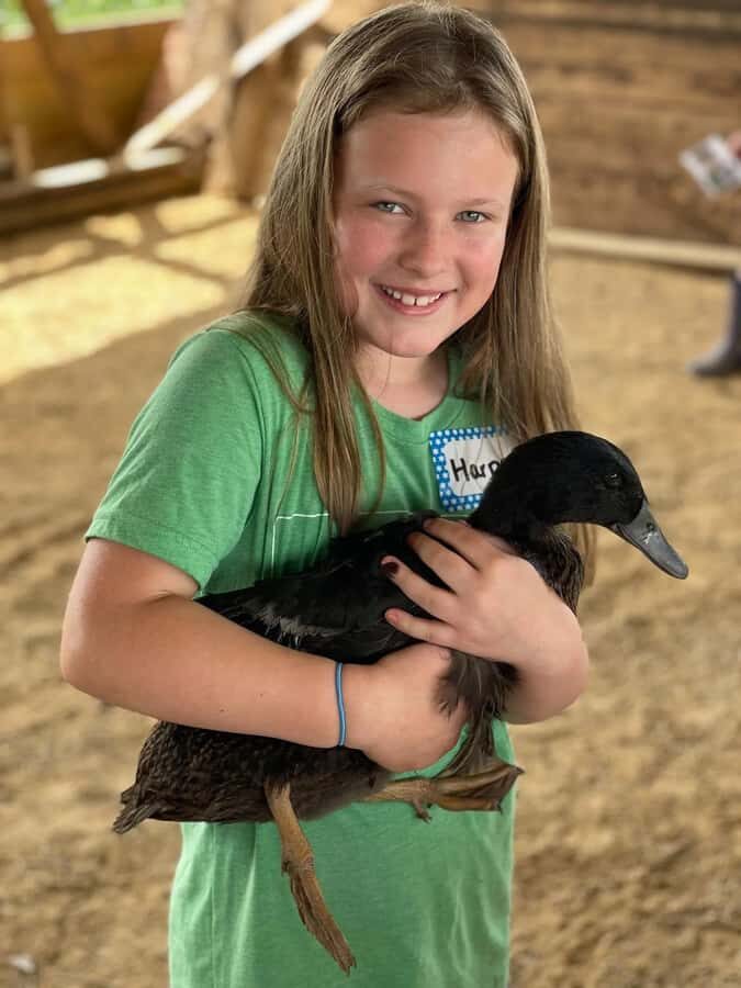 Galena Area: Berning Acres Family Dairy Farm Tour - Practical Details and Tips