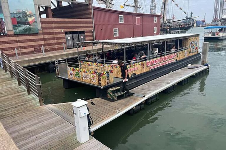 Galveston: Dolphin-Watching Cruise - Why This Tour Stands Out