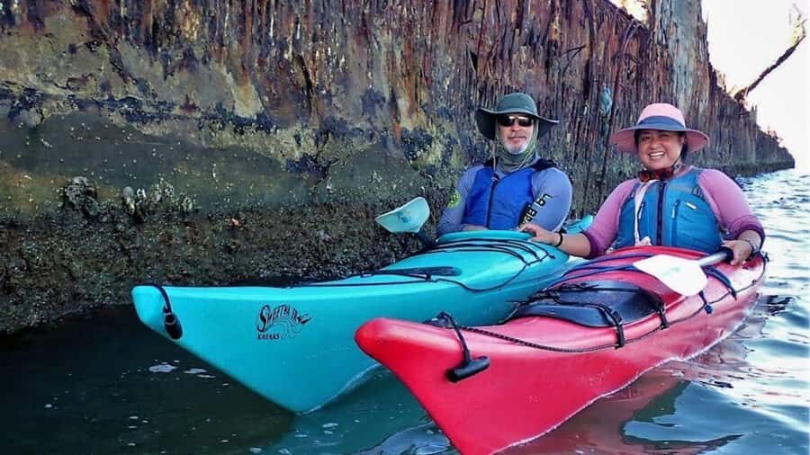 Galveston: Sea Kayaking Tour with Harbor Views - Interacting with the Area’s Marine and Birdlife
