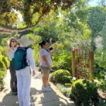 Garden Paths and Architectural Gems - Why We Think This Tour Offers Great Value