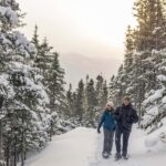 Gaspésie: National Park Entry Ticket with Snowshoe Rental - Discovering Gaspésie National Park: A Closer Look