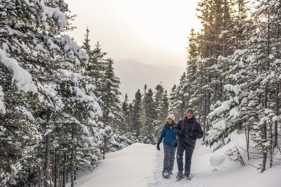 Gaspésie: National Park Entry Ticket with Snowshoe Rental - Discovering Gaspésie National Park: A Closer Look