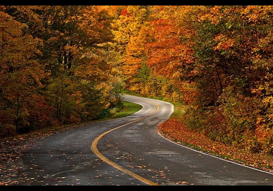 Gatineau Park Tour Exclusive with Pick Up and Drop Off - Exploring Gatineau Park: What to Expect