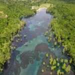 Get Up And Go Kayaking Clear Kayak Eco Adventure - Practical Details for Your Visit