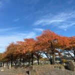 Ghosts of the Willamette River Waterfront Walking Tour - A Detailed Look at the Ghosts of the Willamette River Waterfront Walking Tour