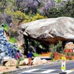 Giant Sequoia National Park Private Day Tour from Los Angeles - The Experience on the Ground