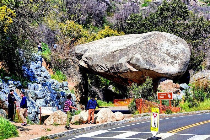 Giant Sequoia National Park Private Day Tour from Los Angeles - The Experience on the Ground