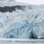 Glacier Bay Day Tour: Explore Tidewater Glaciers and Wildlife - Final Thoughts
