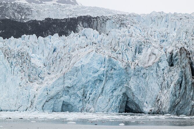 Glacier Bay Day Tour: Explore Tidewater Glaciers and Wildlife - Final Thoughts