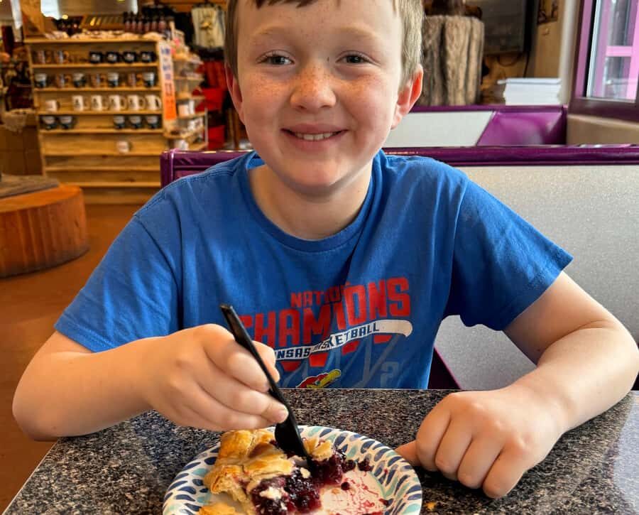 Glacier National Park: Summer Driving Tour with Lunch - What to Expect from the Glacier National Park Summer Driving Tour